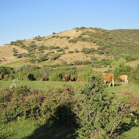 La Jatta Hotel Budoni Bagian luar foto