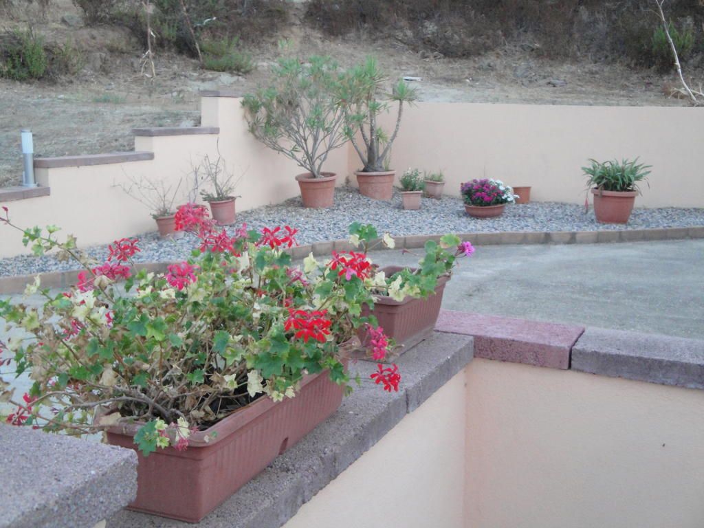 La Jatta Hotel Budoni Bagian luar foto